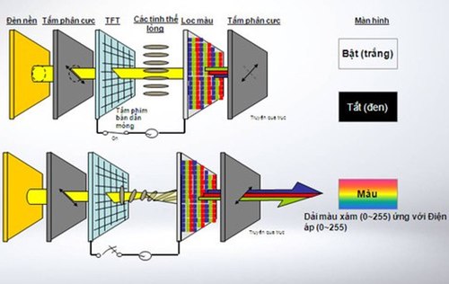 Cau Tao Man Hinh LCD 2